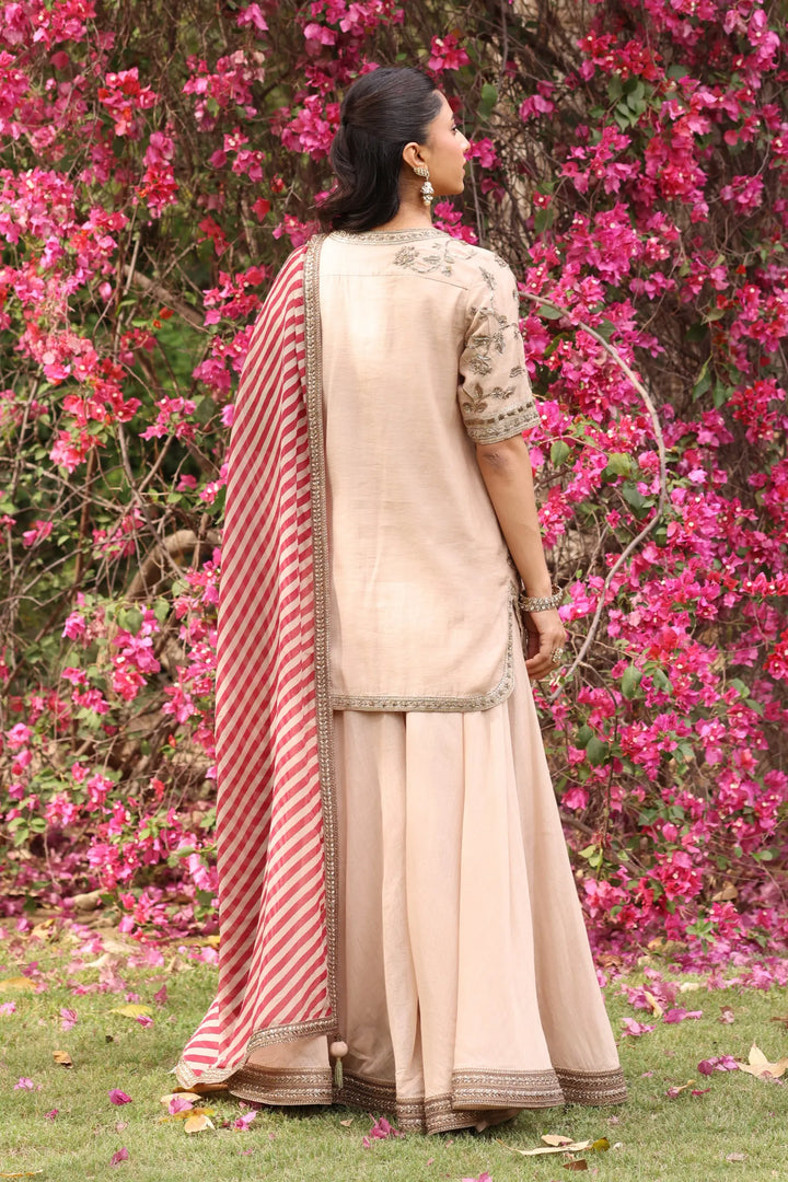 Beige Zareen Sharara