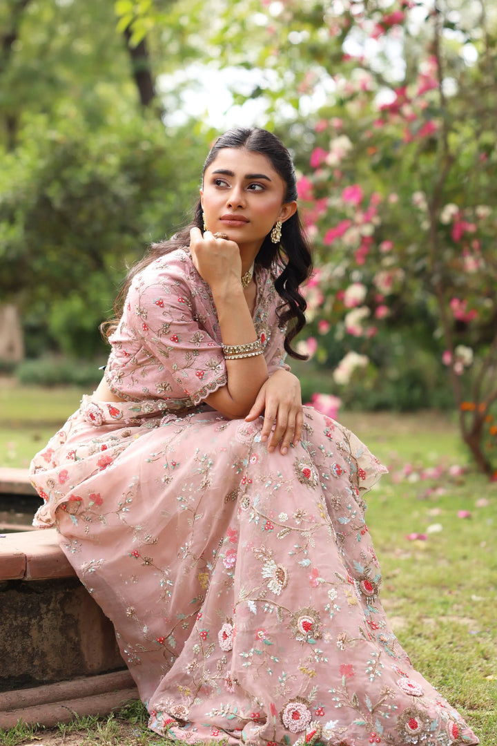 Noor Pink Faria Saree