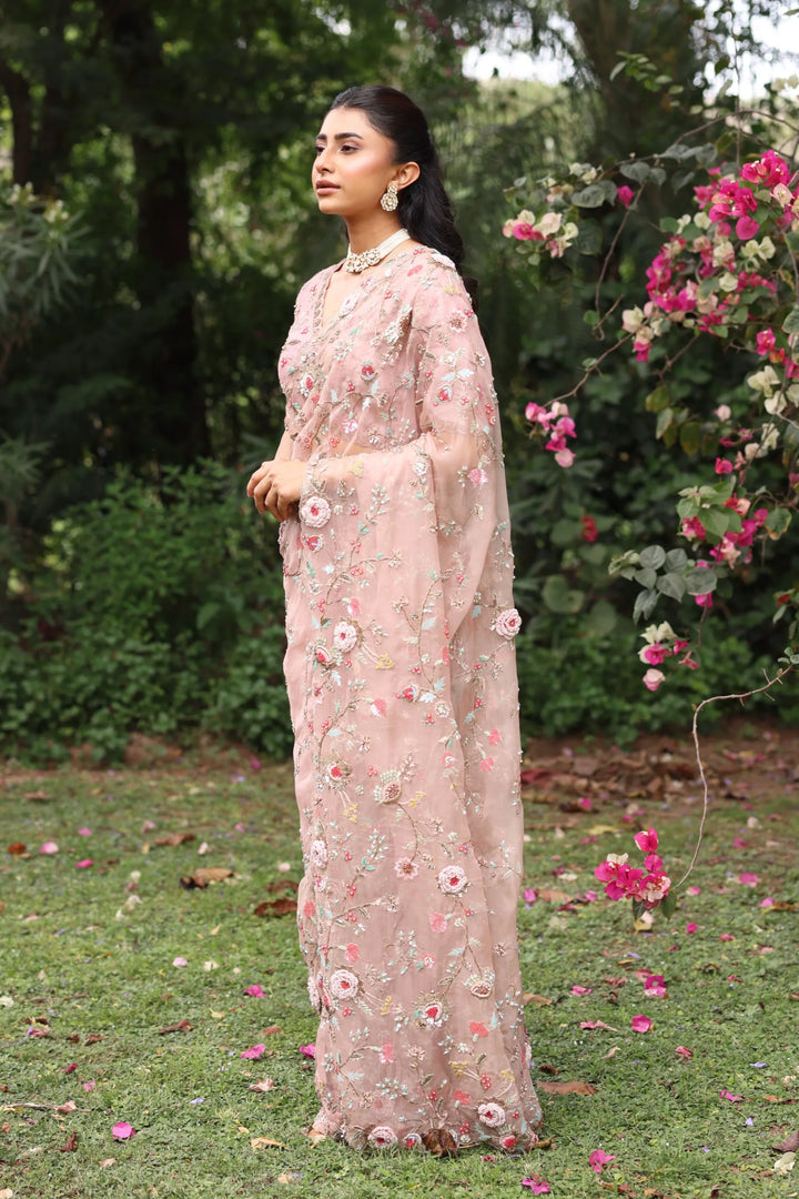 Noor Pink Faria Saree