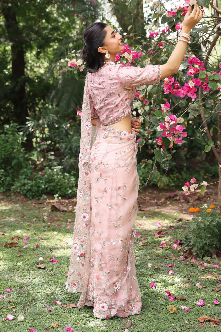 Noor Pink Faria Saree