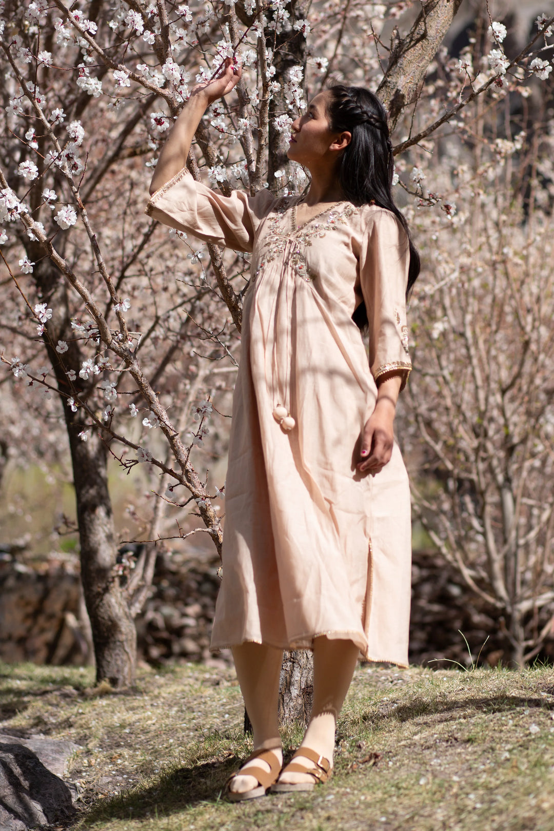 Beige Noor E Phool Dress