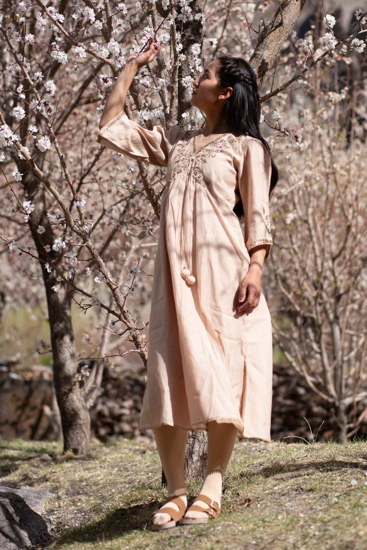 Beige Noor E Phool Dress