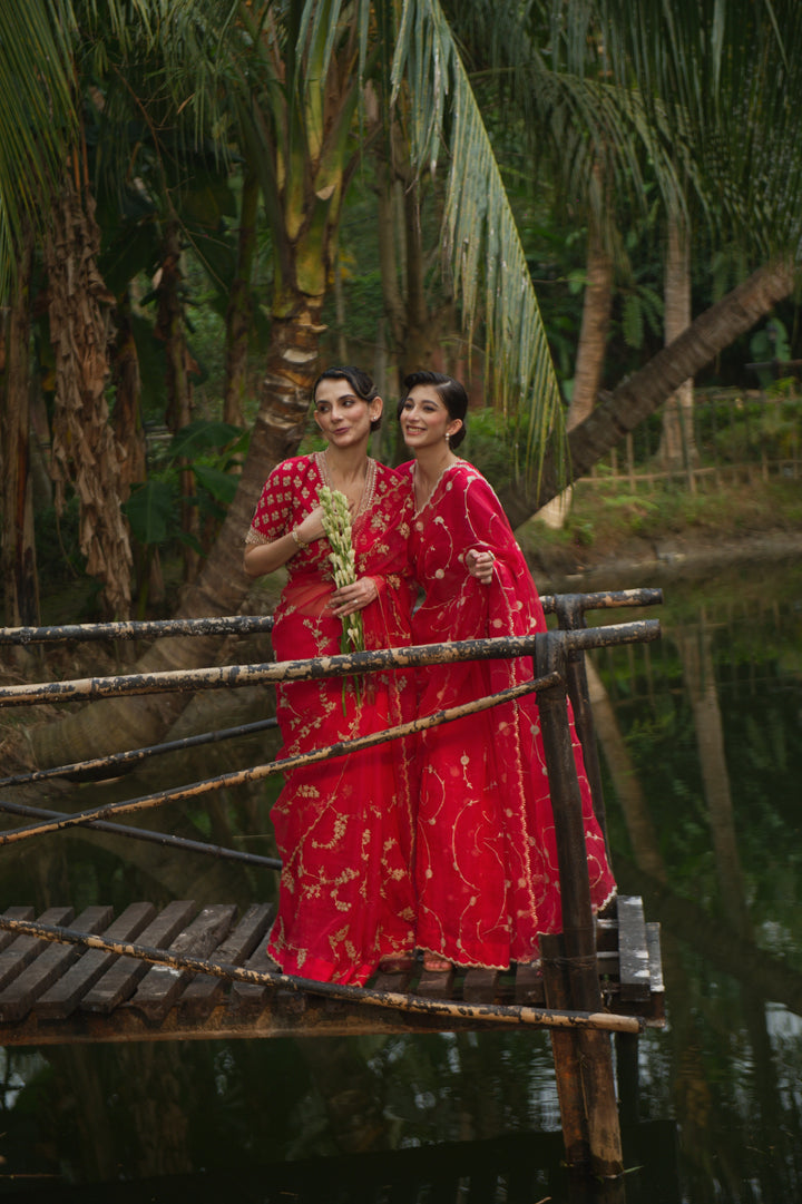 CLARA SAREE