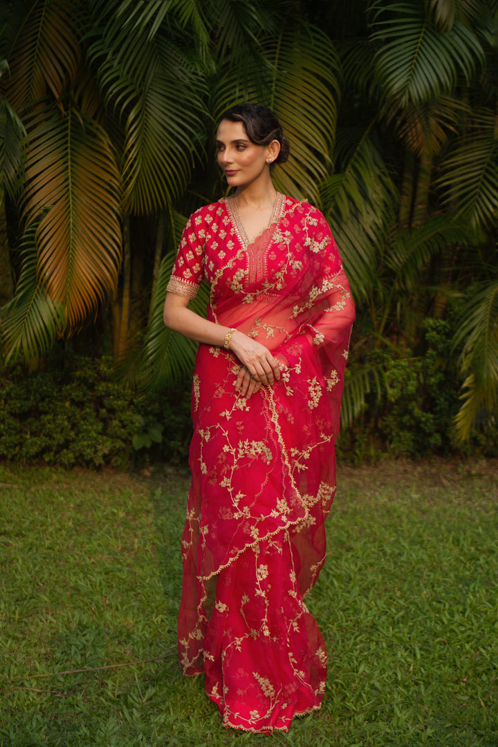 VRINDA DORI SAREE
