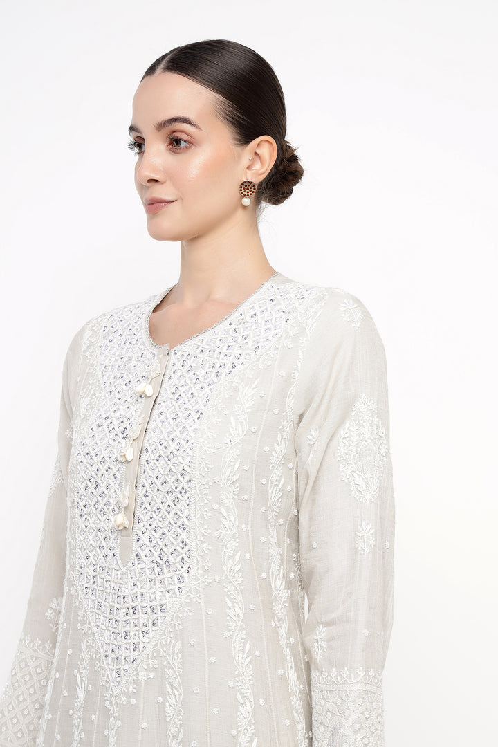 Grey Tissue Safani Anarkali