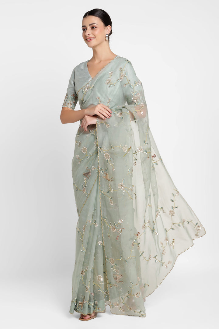 Woman wearing a light green saree with floral patterns on a white background