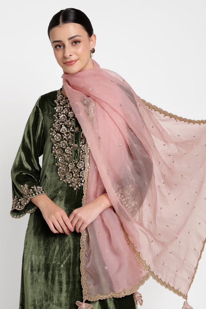 Woman wearing a green traditional outfit with a pink embroidered scarf on a white background