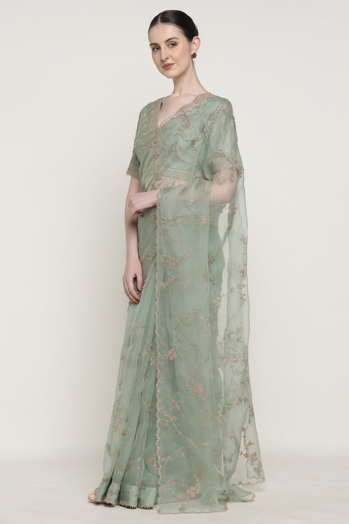 Woman wearing a light green saree with a subtle pattern on a white background