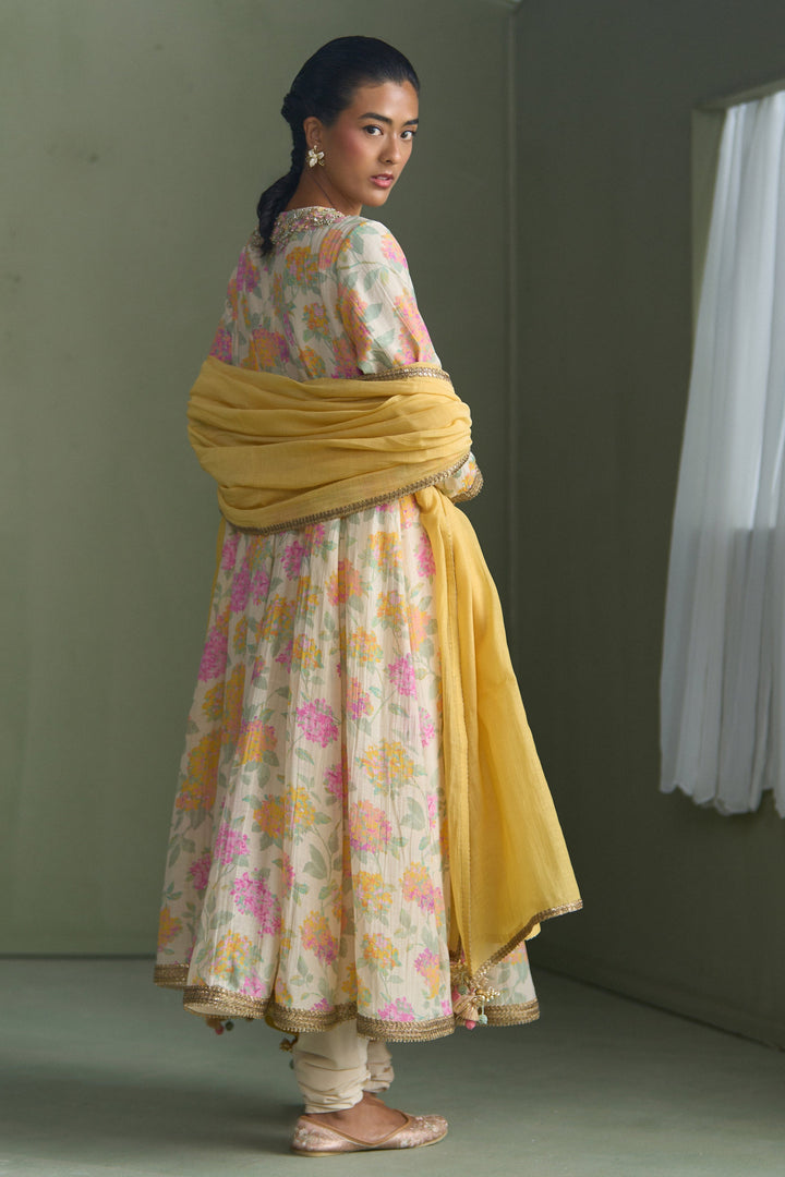 Cassia Anarkali
